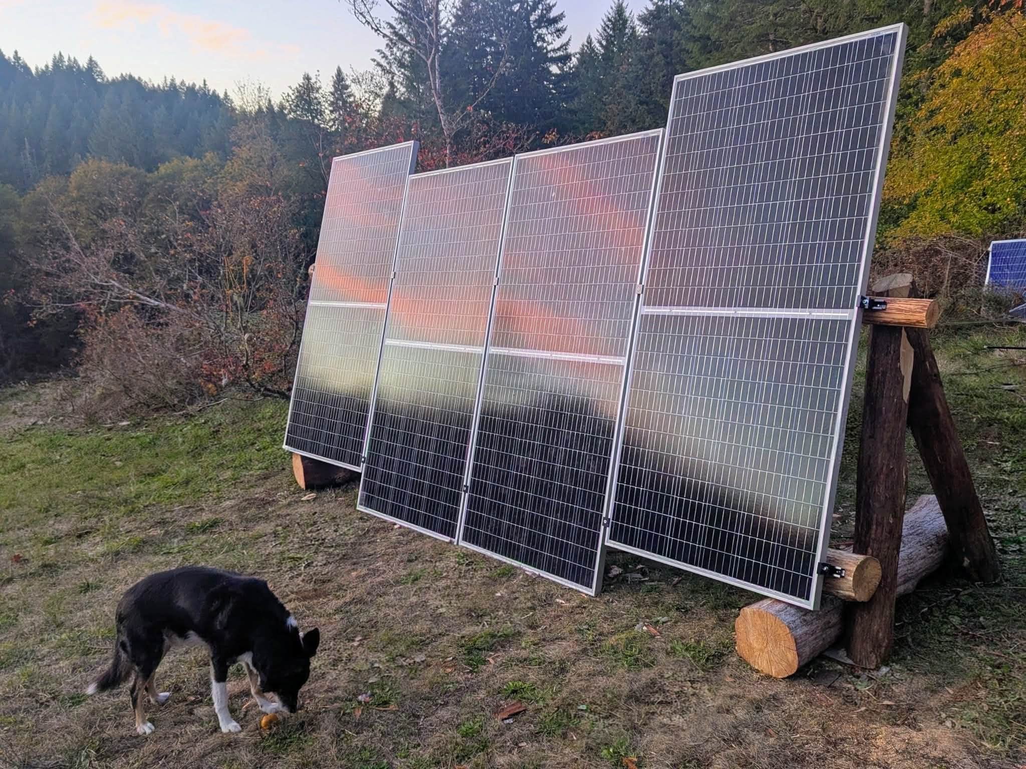Handmade cedar log solar panel rack with dog on mountain property