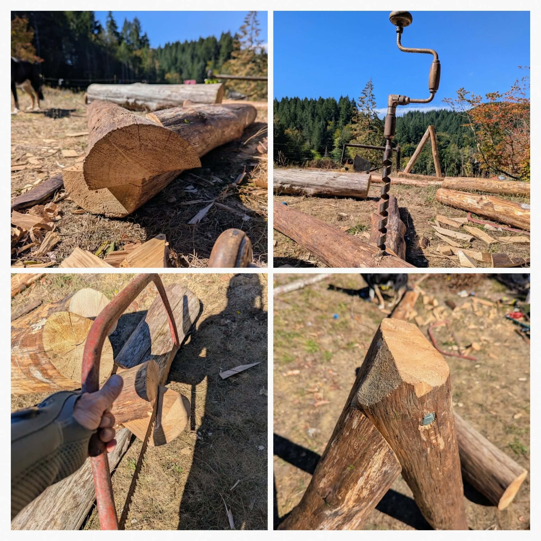 Hand-harvesting and drilling cedar logs for the solar panel rack